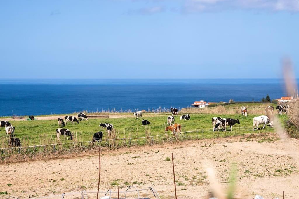 Country House In Azores - S. Miguel リベイラ・グランデ エクステリア 写真