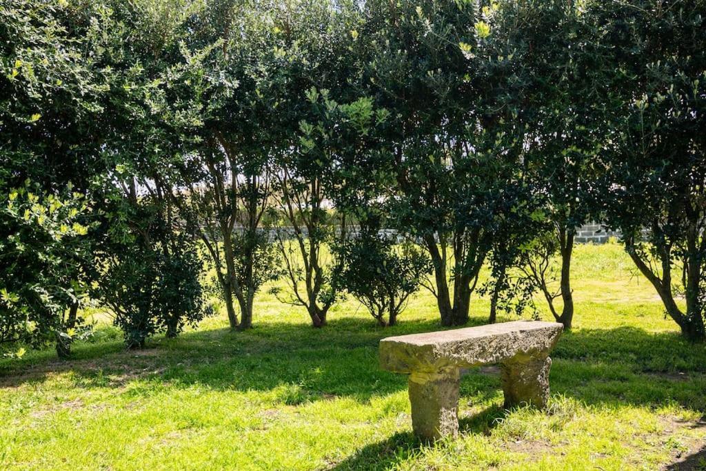 Country House In Azores - S. Miguel リベイラ・グランデ エクステリア 写真